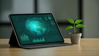 Tech Grads Chase Sustainability Auditing Credentials For Green Roles