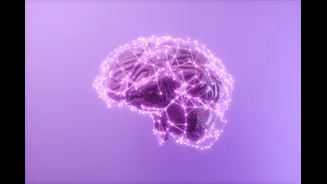 Alzheimer silencioso: doença pode dar sinais 20 anos antes de sintomas