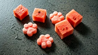 Keep Humid Summer Days Chill For Pups With Frozen Watermelon