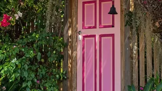 Tropical Home Garden Plants Can Feature Bougainvillea On Walls Or Fences