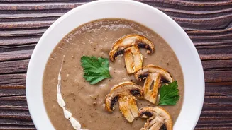 Mushroom Café Specials Are Winning Attention Without The Hype