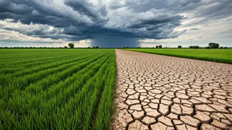 Uneven Monsoon Could Pressure Daily Staples