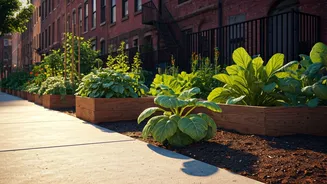 Urban Greening Is Becoming A Community Campaign Now