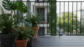 Balcony Plants Need Airflow When Humidity and Growth Rise Together