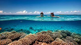 Couples Explore Crystal Clear Waters And Marine Life In Maldives