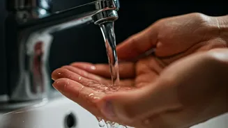 The 20-Second Habit: Why Doctors Still Champion Handwashing for Disease Prevention