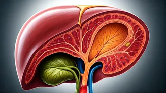 Debunking Detox: Separating Fact from Fiction for Your Health