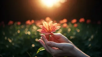 Related Stories banner