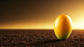 Mango Mavericks: 7 Indian Cultivators Who Made Fruit Famous Long Before Fashion