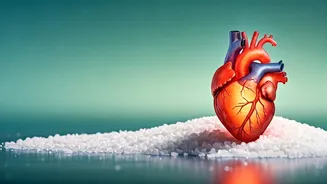 Bridging the Salt Awareness Gap: Improving Health Through Better Understanding