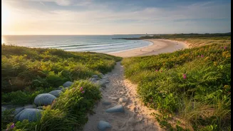 Travellers Are Reconsidering Peak Season As Climate Conditions Shift