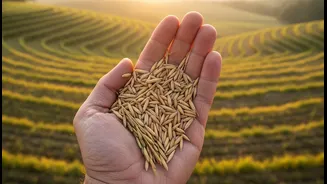 El Nino Concerns Make Seasonal Food Prices Worth Tracking More Carefully
