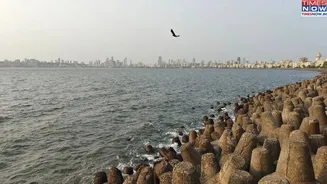 Discover Mumbai’s 13 Most Popular CBSE Schools!