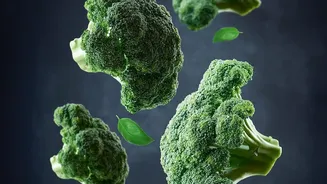 How Quick Steaming Keeps Beneficial Plant Compounds Active In Common Cruciferous Veggies