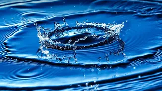 Science Says Timing Matters More Than Water Quantity