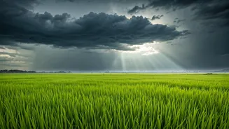 Why July Matters For Kharif Farming