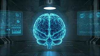 Mental Exercises: Your Path to a Youthful Brain