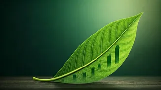 Secure Premium Sustainable Industry Positions Passing Specialized Eco Impact Assessments
