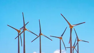 Sovereign Green Bonds Blueprint: Support Clean Infrastructure And Earn Fixed Investment Returns