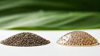 Chia vs. Sabja Seeds: Decoding Your Belly Fat Loss Ally