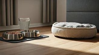 Consistent Routines And Quality Nutrition Trending For Young Pet Parents