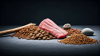 Breed-Based Meals Are Changing Pet Food Choices