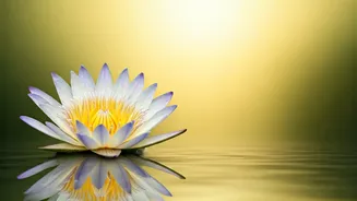 Ranbir Kapoor: Pure Heart, No Filters, On and Off Screen