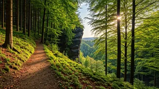 Discover Luxembourg's Enchanting Hiking Trails: A Journey Through Nature's Wonders