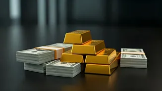 JioBlackRock Fund Unveiled: Portfolio Insights