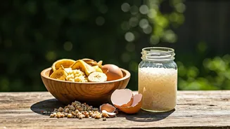 Ditch Expensive Plant Food Spawn Intense Homemade Herbal Shakes