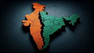 Tamil Nadu's Delimitation Stand: Black Flags Fly Amidst Fairness and Federalism Debate