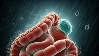 Gut Health Gets Serious When Rains Arrive