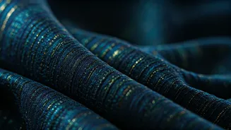 Stories We Wear: Unpacking India's Appearance Politics Beyond Fashion