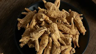 Say goodbye to motion sickness with galangal root