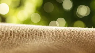 Unveiling the Enigmatic World of Sustainable Fashion Trends