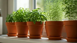 Tiny Herb Corners Are Winning Small Homes Again