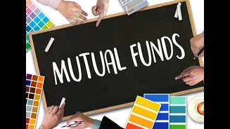 This mutual fund has nearly tripled investor wealth over the past 11 years