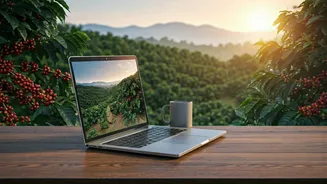 Organic Coffee Estates Host Unprecedented Waves Of Remote Professionals