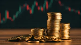 Navigating Uncertainties: A Guide to Financial Resilience
