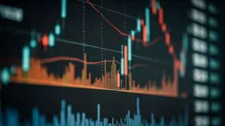 Navigating India's Market: Insights and Strategies