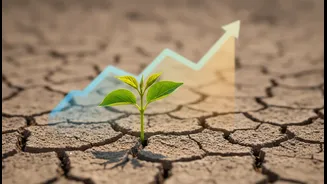 India May Stay Fastest-Growing, But Slower 2027 Growth Could Hurt Job Creation