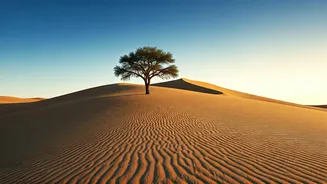 Discover Breathtaking Desert Views In Muscat Very Cheaply
