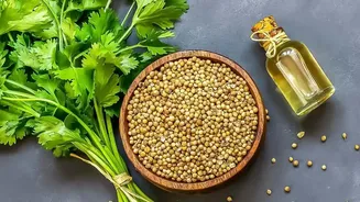 ₹220/Kg Coriander: What The Price Surge Says About Monsoon Food Costs