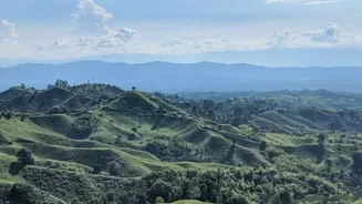 Rain-Soaked Assam Is Becoming A Favourite For Sustainable Travel