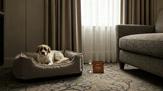 Pet-First Travel Has Officially Entered The Mainstream
