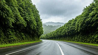 Coastal Resorts Redefine Monsoon Tourism With Scenic Drive Packages