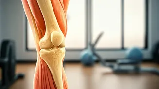 Gentle Workouts: Slim Down & Thrive After 40