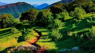 Where To Find India's Lushest Views With Less Rain