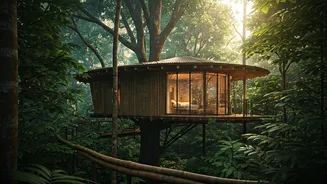 Live In Eco Friendly Treehouses Hidden Deep Within Wayanad Forests