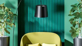 The 2026 Bold-Sofa Trend: Checking Room Scale Matters More than Colour Impact Alone
